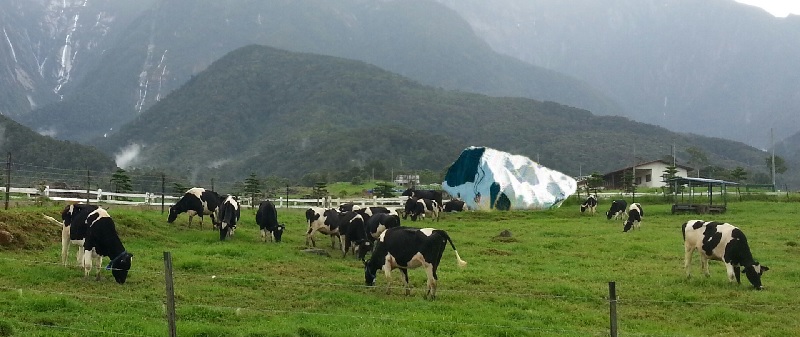 desa-dairy-farm.jpg